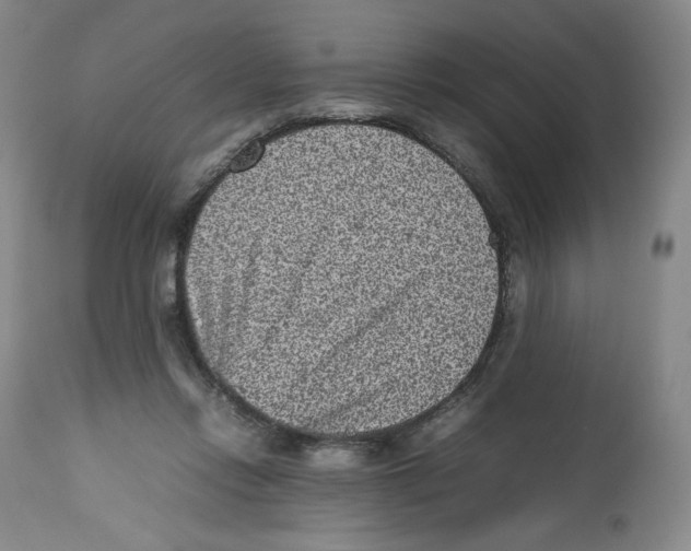 X0000112510358200909141205