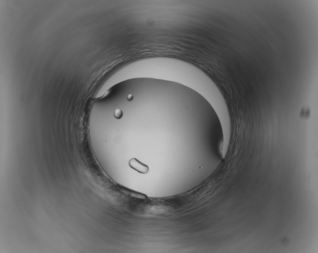 X0000112510360200909141205