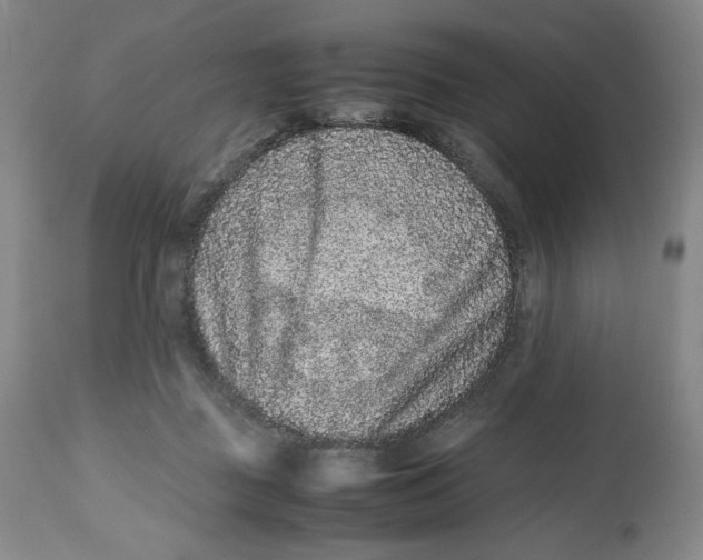 X0000112510363200909141205