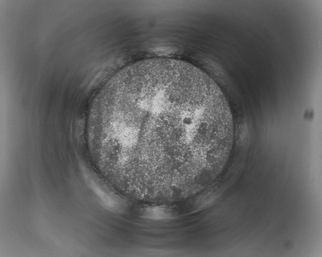 X0000112510365200909141205