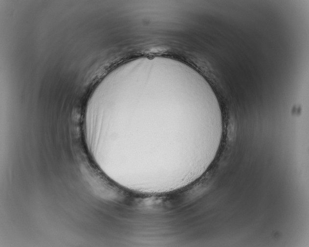 X0000112510366200909141205