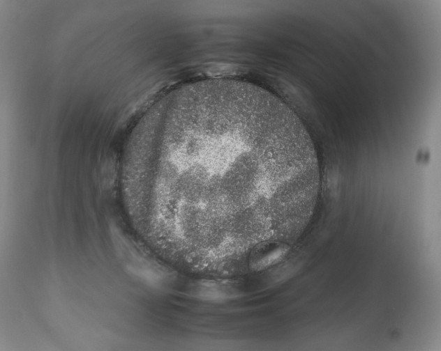 X0000112510367200909141205