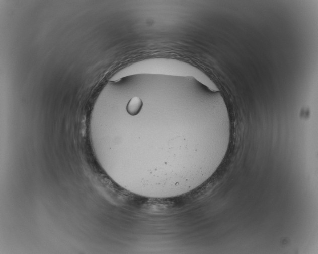 X0000112510368200909141205