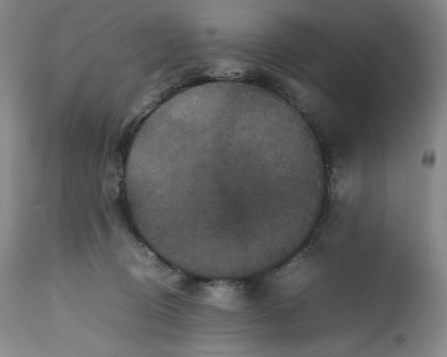 X0000112510370200909141205