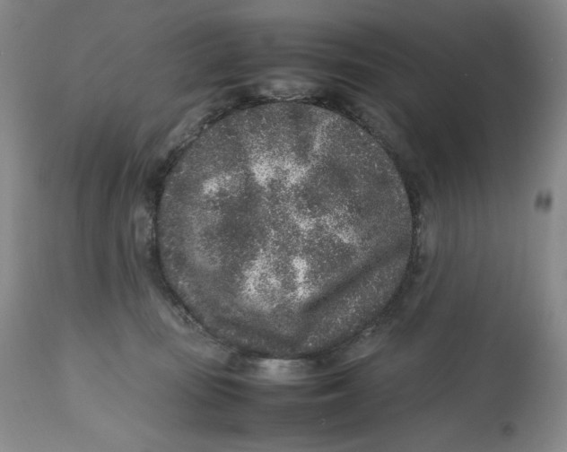 X0000112510371200909141205