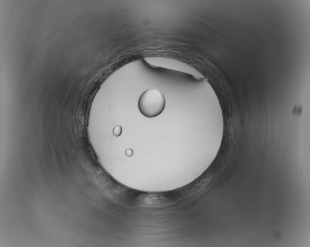 X0000112510372200909141205