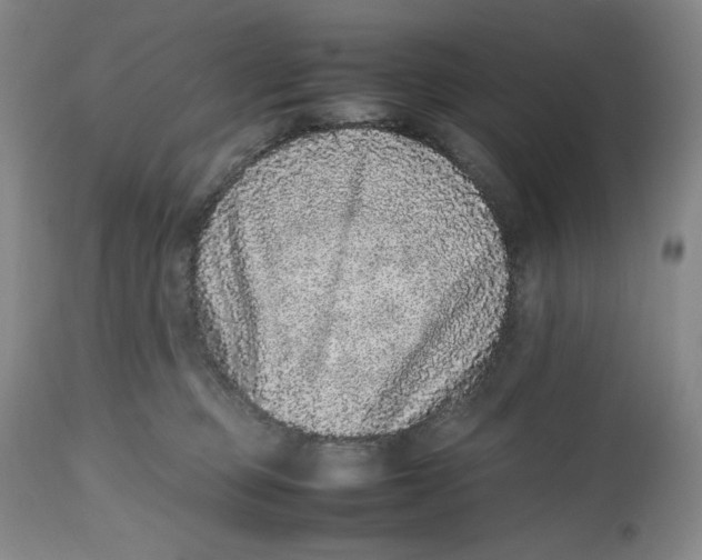 X0000112510373200909141205