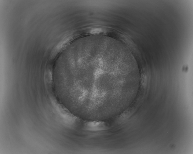 X0000112510375200909141205