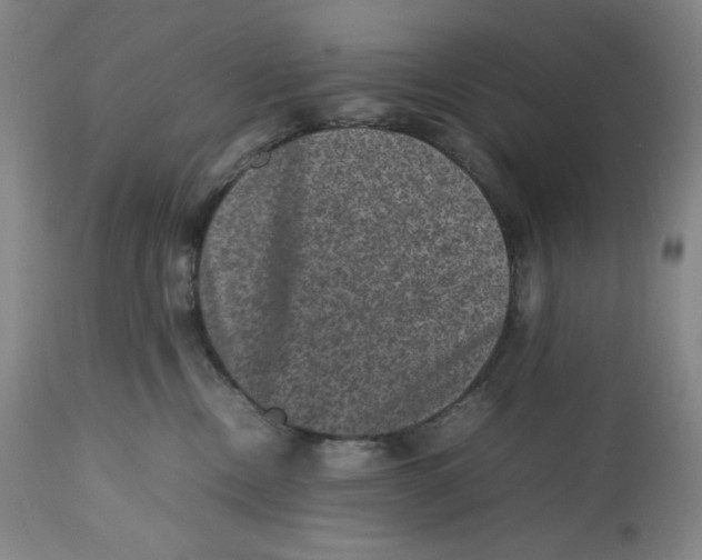 X0000112510378200909141205