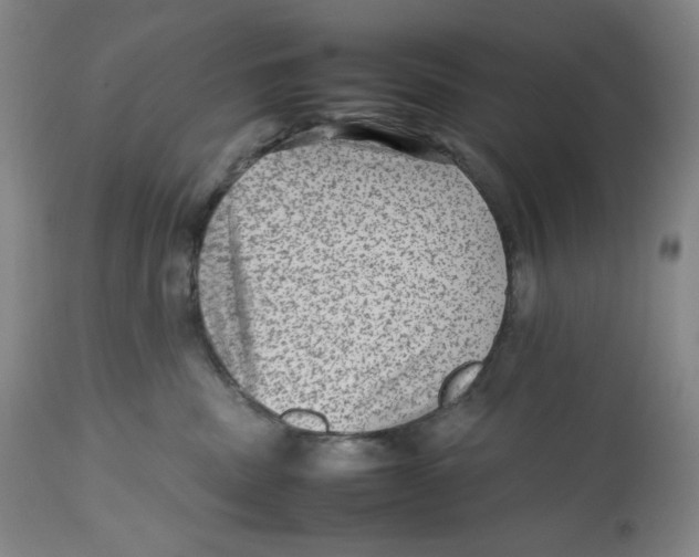 X0000112510379200909141205