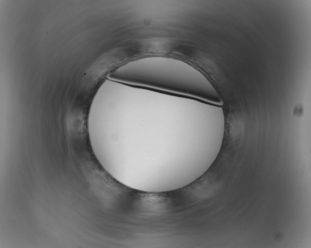 X0000112510380200909141205