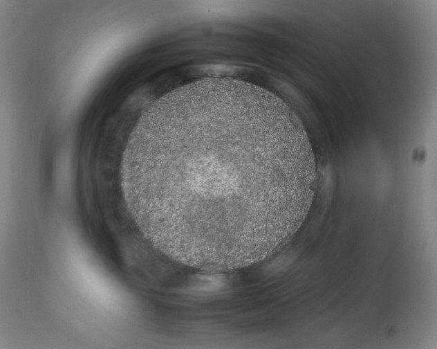 X0000112510381200909141205