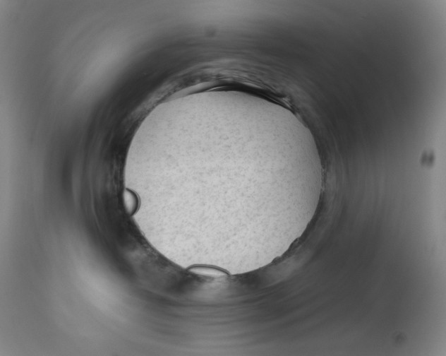 X0000112510382200909141205