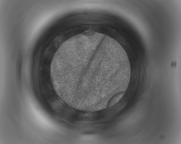 X0000112510383200909141205