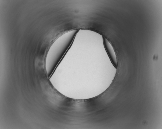 X0000112510384200909141205