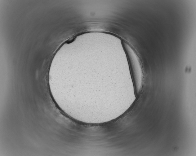 X0000112510385200909141204