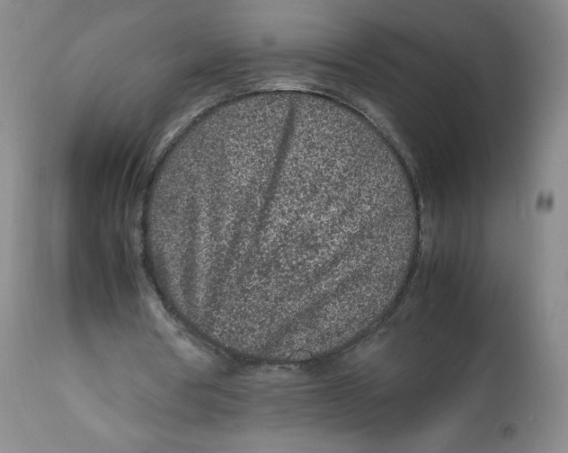 X0000112510386200909141204