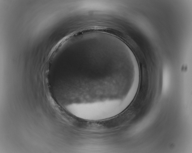 X0000112510387200909141204