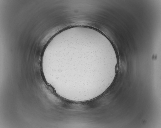 X0000112510389200909141204