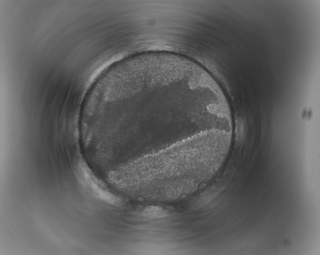 X0000112510390200909141204