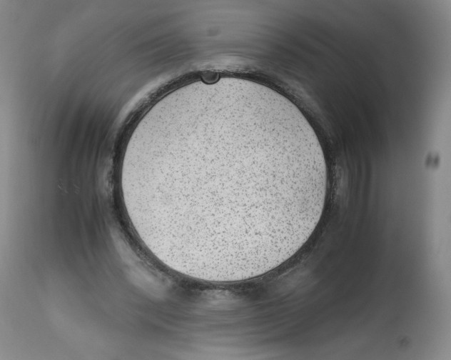 X0000112510392200909141204