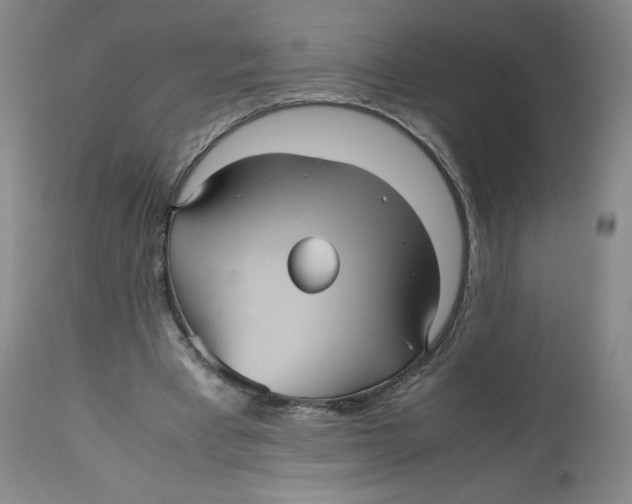 X0000112510393200909141204