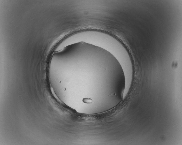 X0000112510395200909141204