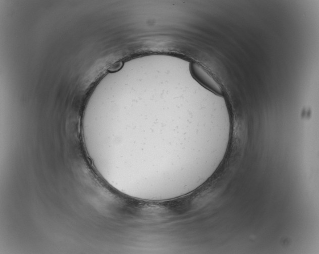 X0000112510397200909141204