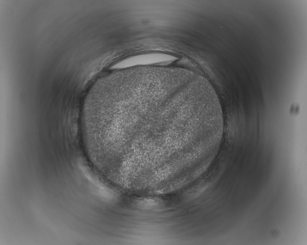 X0000112510402200909141204