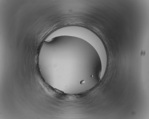 X0000112510405200909141204