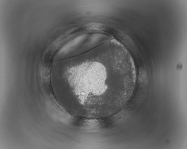 X0000112510409200909141204