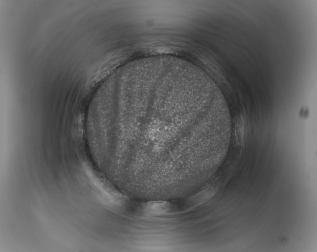 X0000112510410200909141204