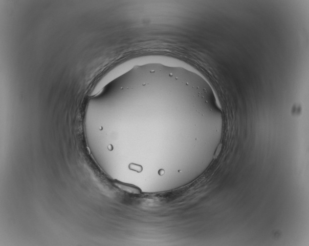 X0000112510411200909141204