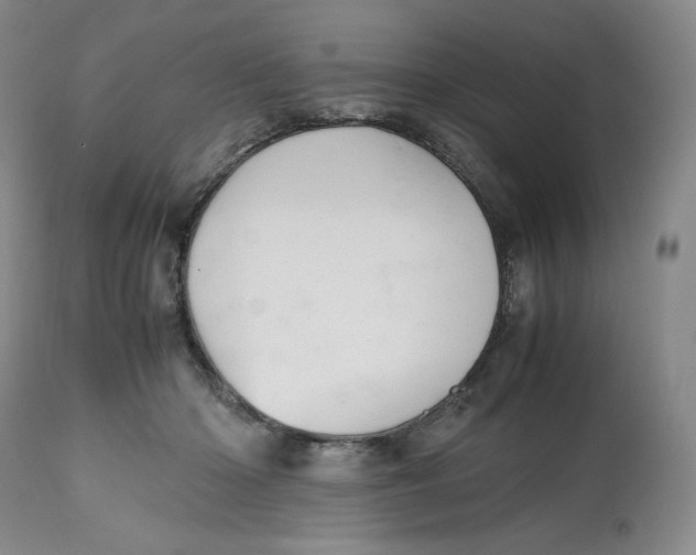 X0000112510414200909141204