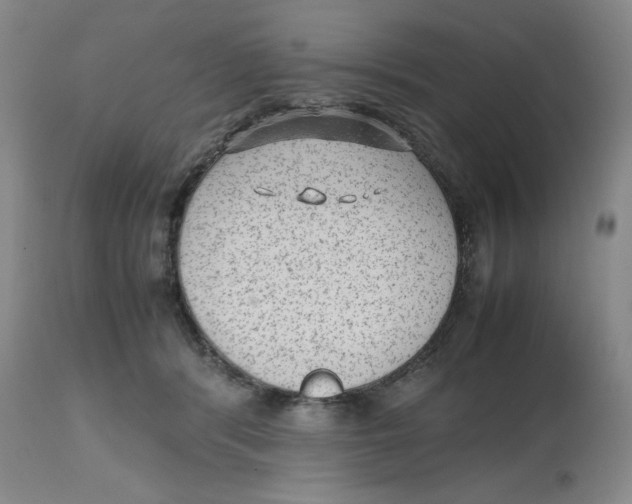 X0000112510416200909141204