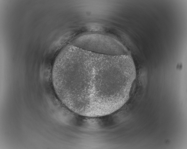 X0000112510417200909141204