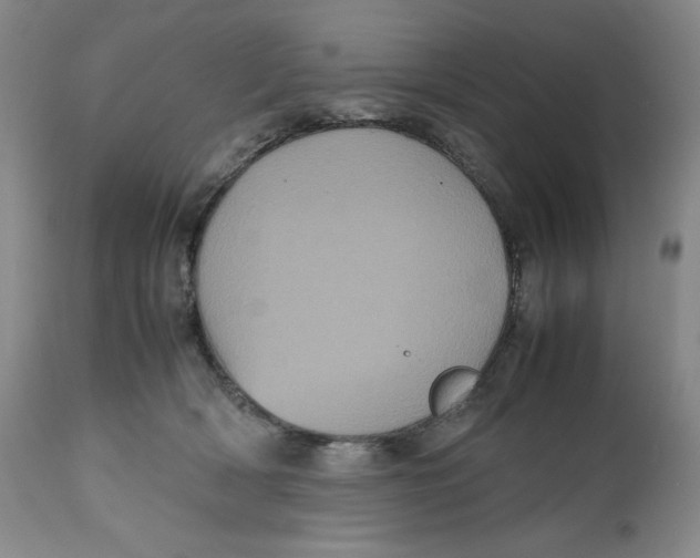 X0000112510418200909141204