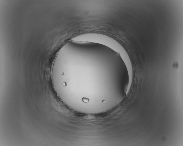 X0000112510419200909141204