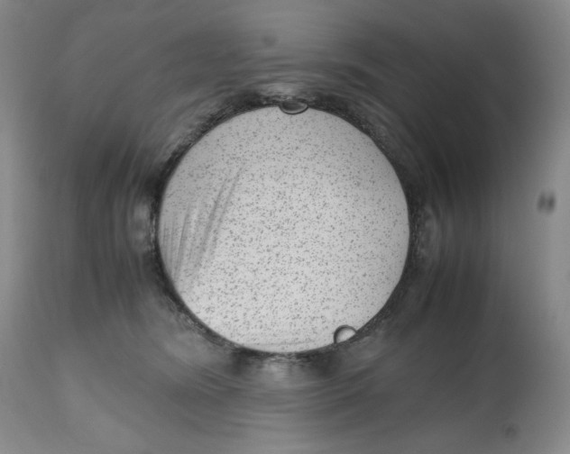 X0000112510420200909141204