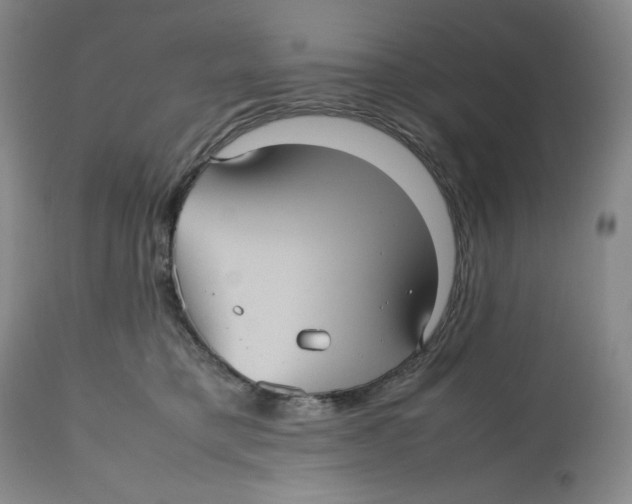 X0000112510421200909141204