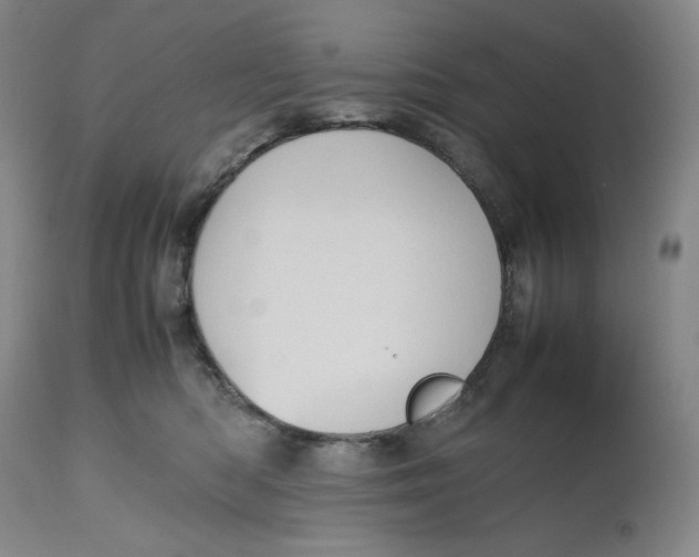 X0000112510422200909141204