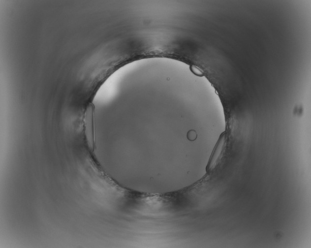 X0000112510423200909141204