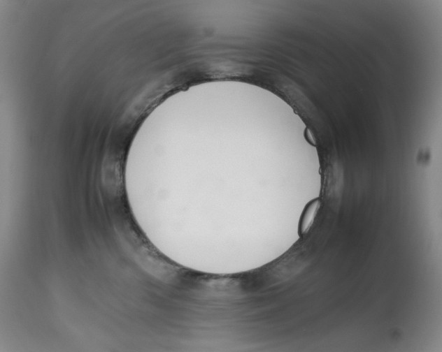 X0000112510426200909141204