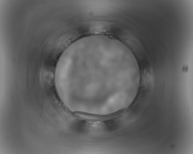 X0000112510427200909141204