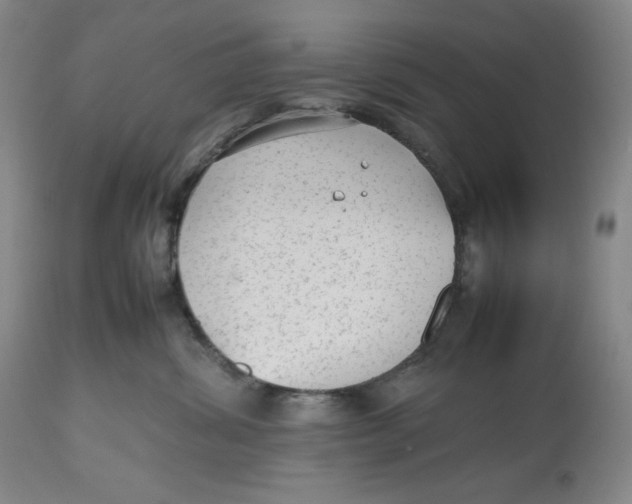 X0000112510428200909141204