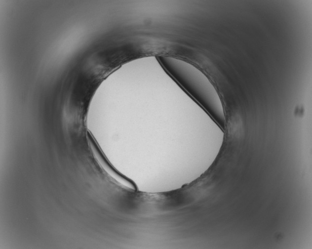 X0000112510429200909141204