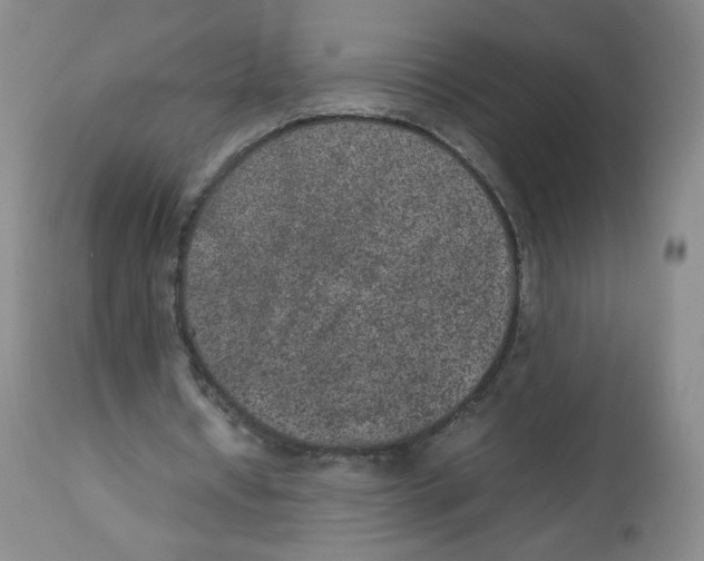 X0000112510434200909141203