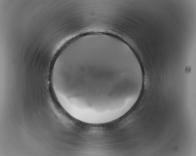 X0000112510438200909141203