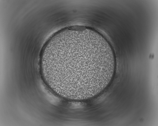 X0000112510439200909141203