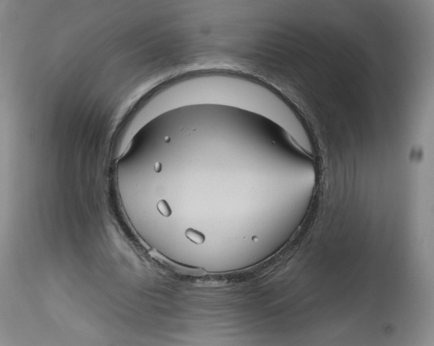 X0000112510440200909141203